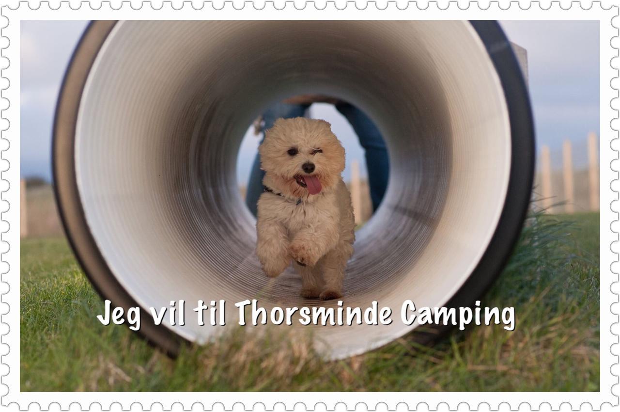 Thorsminde Camping & Cottages Exterior photo